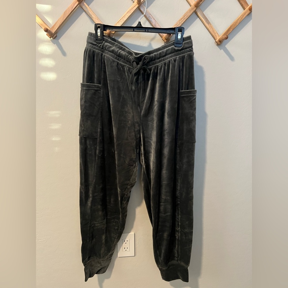 Aerie velour jogger pants